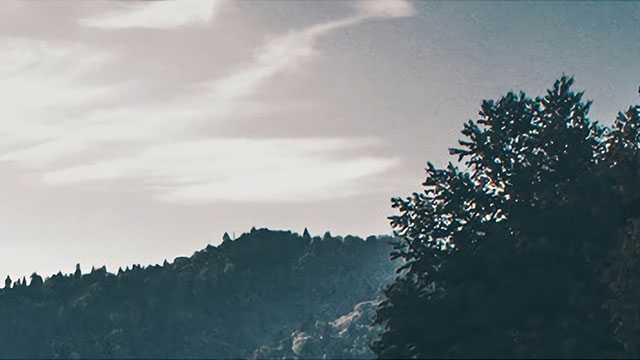 数字时代给严肃读者带来了怎样的急迫危险?